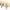 Darini wine set | promopoint.ro